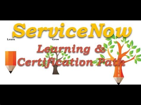 ServiceNow Learning Certification Path A Quick Guide Shorts Short