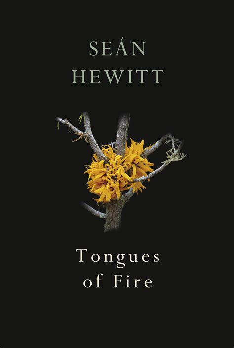 Tongues Of Fire By Seán Hewitt Penguin Books Australia