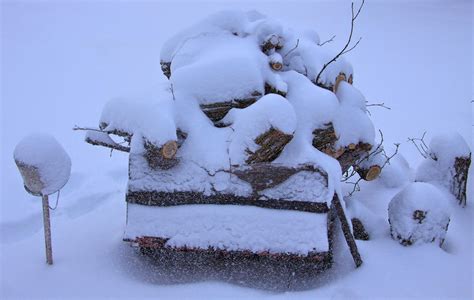 Manitoba Winter by dove-51 on DeviantArt