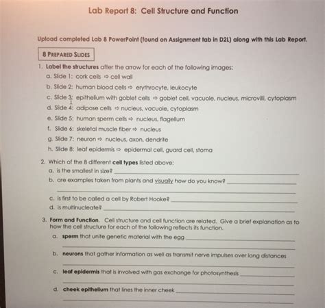 Solved Lab Report 8 Cell Structure And Function Upload Chegg