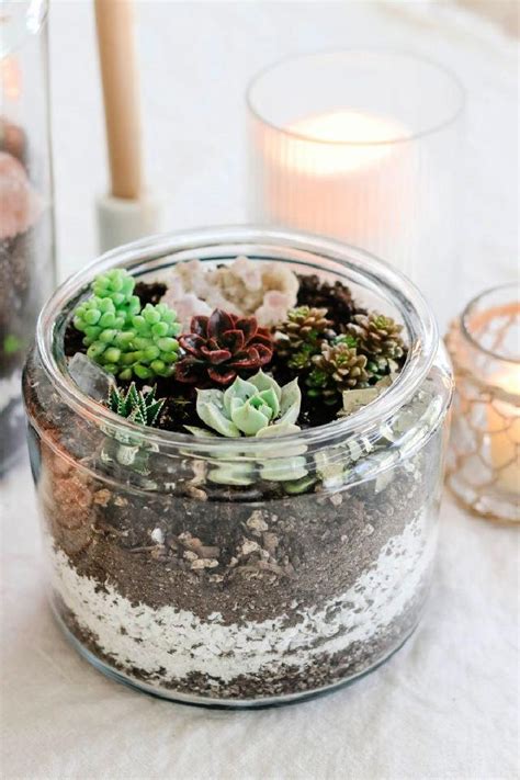 15 Easy DIY Succulent Terrarium Ideas (How to Make)