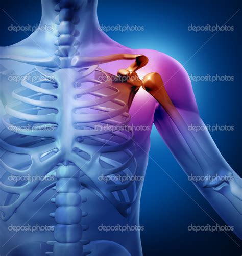 Musculoskeletal Ultrasound – Shoulder (Theory) - CME