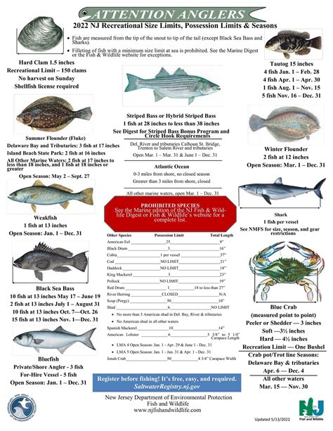 Nj Saltwater Fishing Regulations Lillian G Cline