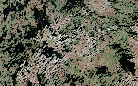 Aerial Photo of Remote Canadian Landscape [OC] : r/mildlyinteresting