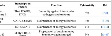 Overview of CD8 + T cell effector populations and their known functions ...