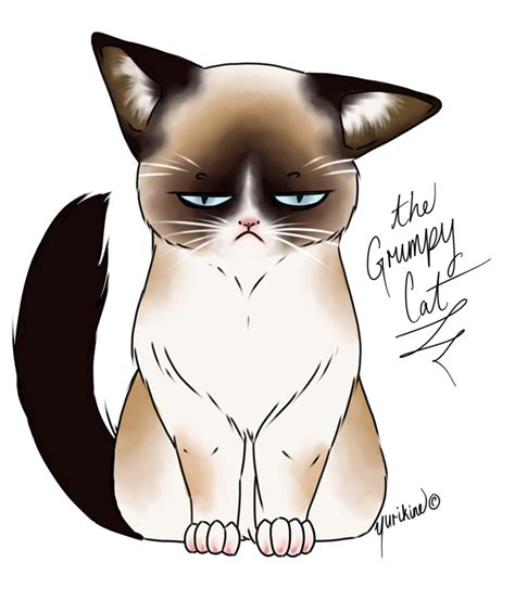 Grumpy Cat By Yurikine On Deviantart Cartoon Cat Drawing Grumpy Cat Cartoon Drawings