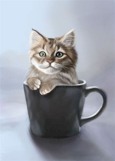 Teacup Kitten