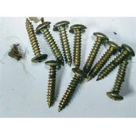 MS Self Tapping Screw At Rs 150 Packet MS Screw In New Delhi ID