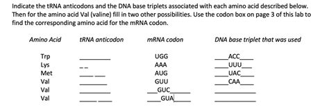 Solved Indicate The Trna Anticodons And The Dna Base Triplets