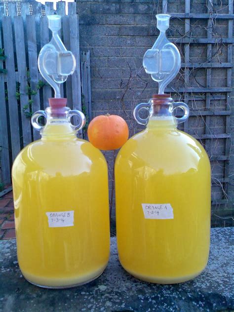 Orange wine – Artofit