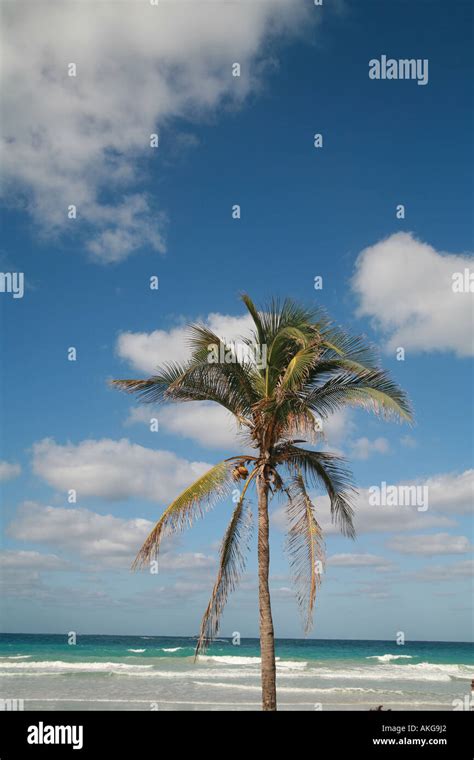 a beautiful tropical island scene Stock Photo - Alamy