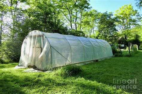 Polytunnel under construction Photograph by Stephen Farhall - Pixels