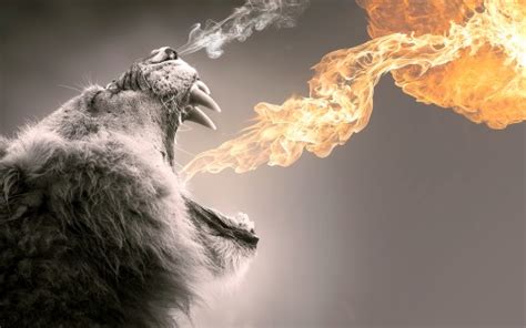 Roaring Flames Wallpapers Hd Wallpapers Id