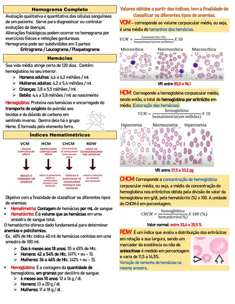 Solution Resumo De Hematologia Parte Studypool