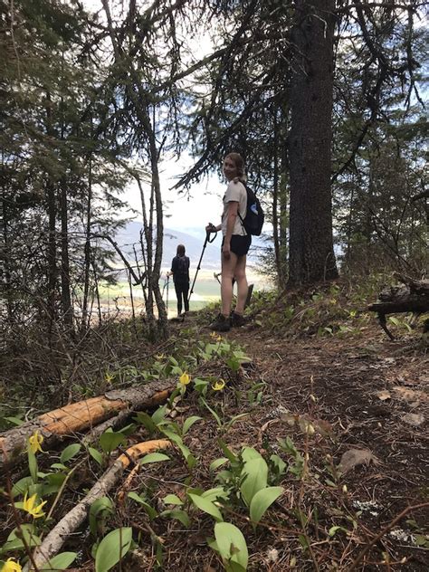 Mount Creston Trail Hiking Trail - Creston, BC