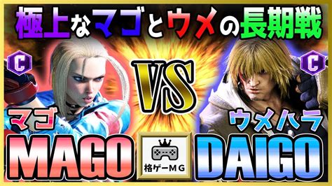 Mago Cammy Vs Daigo Ken Street