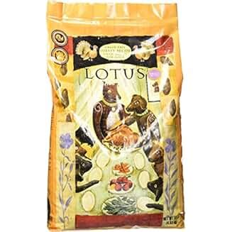 Amazon.com: LOTUS DOG FOOD