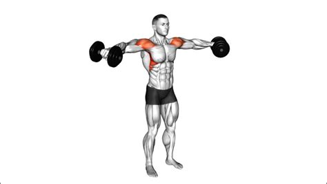 5 Best Exercises For Mid Delts With Dumbbells Get Sculpted Shoulders