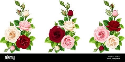 Vector Set Of Pink Burgundy And White Roses Decorative Elements