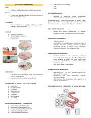 Histology Laboratory Pdf Histology Laboratory Cells Cells Are The