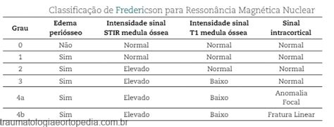 Classificação De Fredericson Traumatologia E Ortopedia