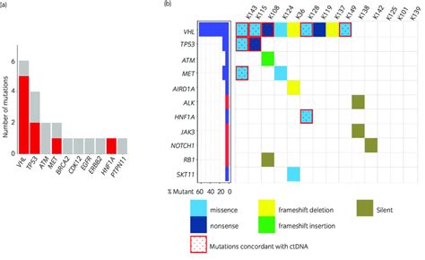 A Bar Chart Shows The Number Of Mutations Of Each Gene Concordant