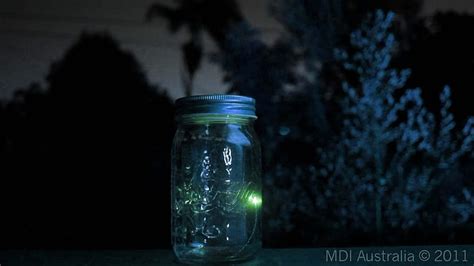 Firefly Mason Jar Hd Wallpaper Pxfuel