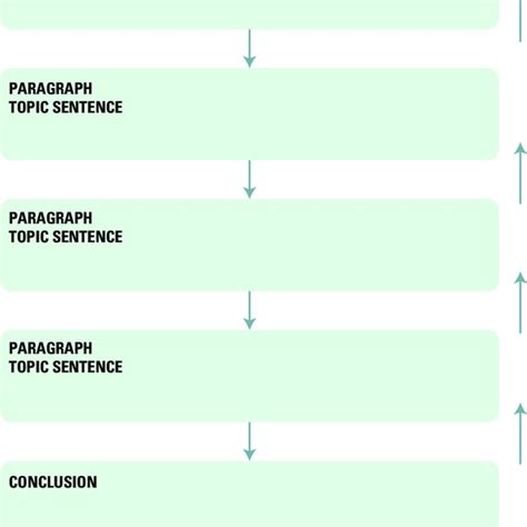 academic writing  essay