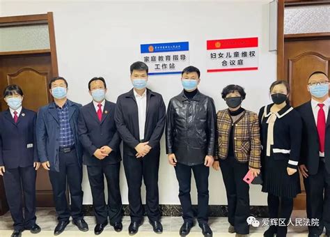 我为群众办实事爱辉区法院家庭教育指导工作站揭牌成立澎湃号·政务澎湃新闻 The Paper