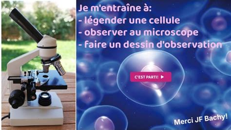 Svt 6ème Microscopie Do Et Légender Cellule