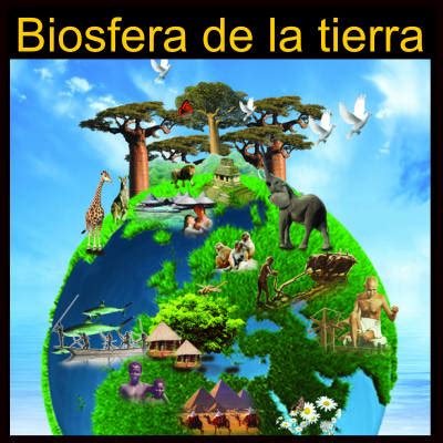 Biosfera Características Componentes importancia y más