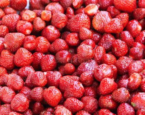Strawberry box stock image. Image of mall, green, fruits - 642177