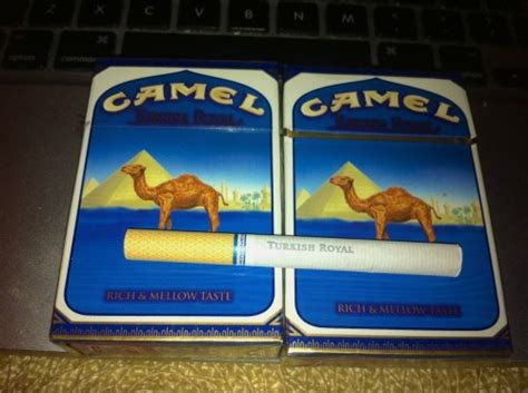 camel turkish royal on Tumblr