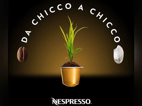 Nespresso Dona Quintali Di Riso Al Banco Alimentare Alimentando