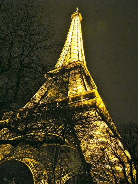 Fotos Gratis Rbol Ligero Noche Torre Eiffel Par S Francia