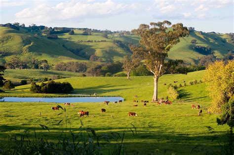 australian town  country