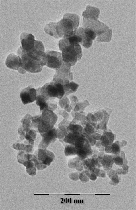 The Shape And Size Of Copper Oxide Nanoparticles After 24 H In Seawater