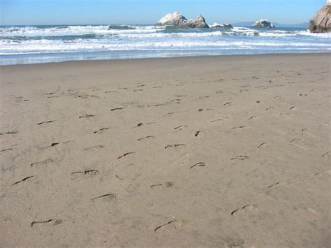 Footprints Ocean Beach Cheryl Mh Flickr