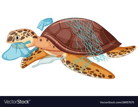 Sea turtle and plastic bags on white background vector image on ...