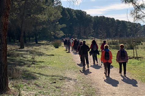 Las Enfermedades Cr Nicas Protagonistas De La D Cima Ruta Del Camino