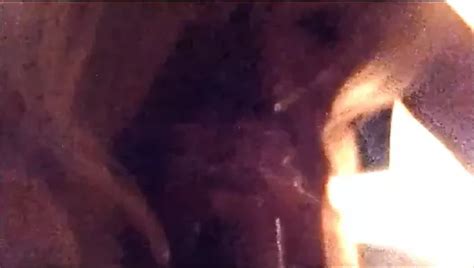 Free Slow Suck Porn Videos Xhamster