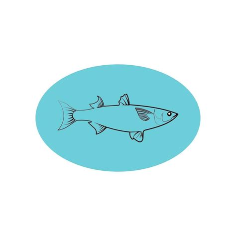 Vector mullet fish isolated on blue background 26260531 Vector Art at ...