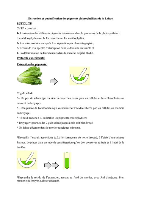 TP 1 physiologie végetale Extraction et quantification des pigments