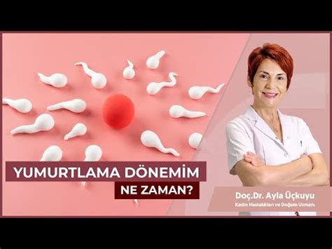 Yumurtlama Dönemi Ne Zaman YouTube