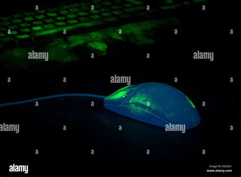What Light Shows Fingerprints At Lucy Via Blog