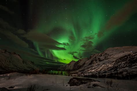 In Search Of Christmas Where Spectral Lights Brighten Dark Winter