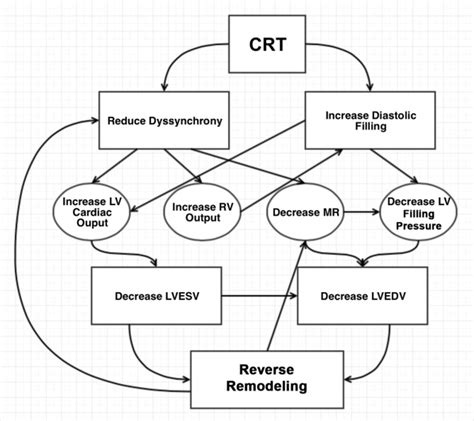 Cardiac Resynchronization Therapy History Present Status And Future