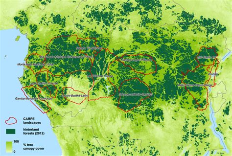 Carpe Iii Monitoring The Forest Resources Of The Congo Basin Glad