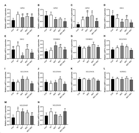 Figure Eeects Of Diierent Se Sources On The Mrna Expression Of