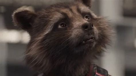 The Real Reason Rocket Raccoon Wears A Scarf In Avengers: Endgame